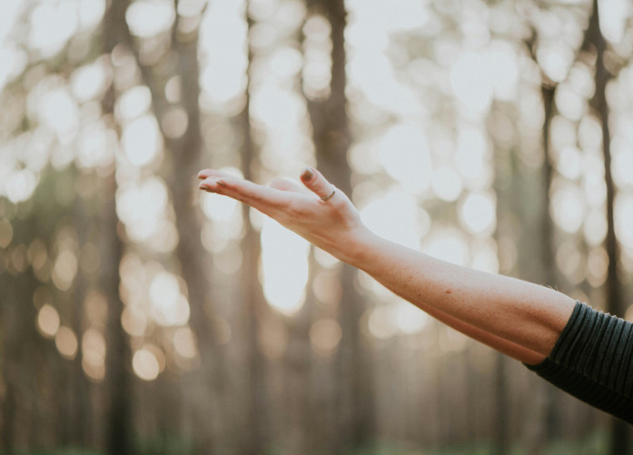 Your One Stop For Wellness